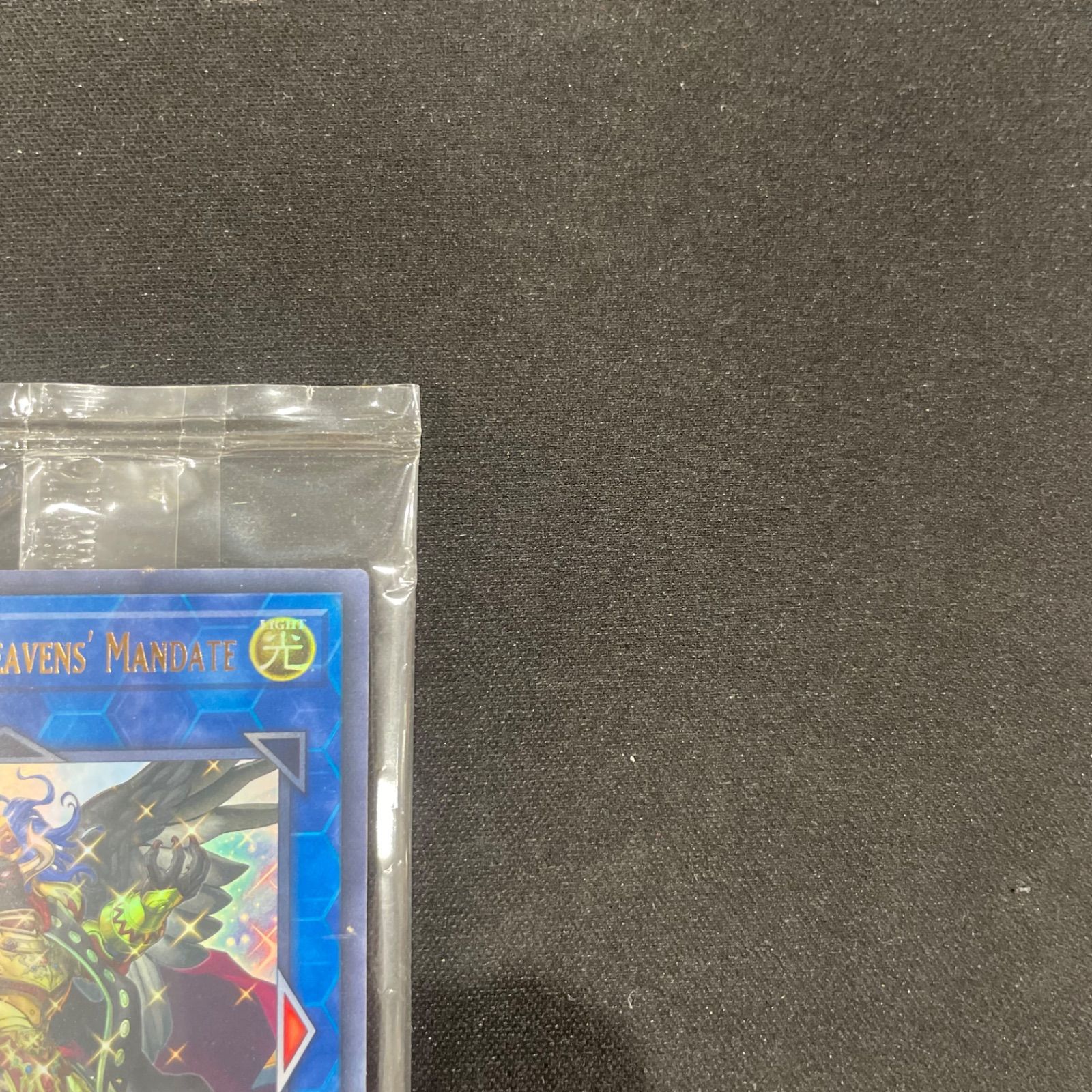 遊戯王 未開封 天元の荒鷲王 Kaiser Eagle, the Heavens' Mandate