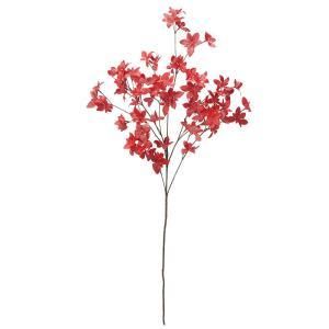 ASCA アスカ ドウダン A-43605-002 入数 12