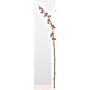 ASCA アスカ ベリースプレー A-47879-002 入数 12