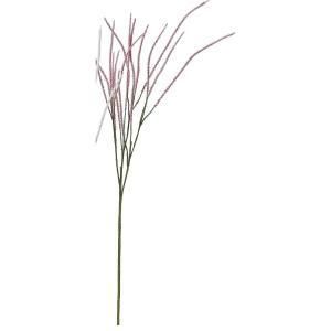 ASCA アスカ キャットテイルX 15 A-33936-003 入数 24