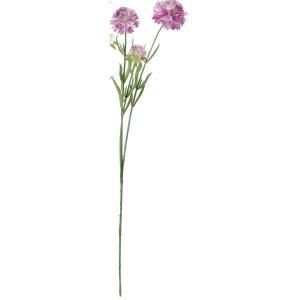 ASCA アスカ スカビオサX 3 A-33908-017 入数 12