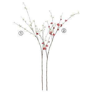 ASCA アスカ ボケX 24 つぼみX 9 A-33880-001 入数 6