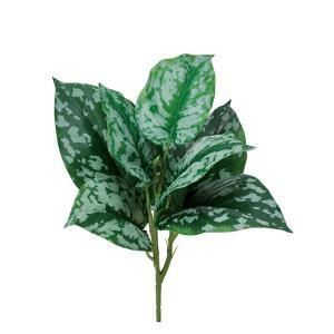 ASCA アスカ スキンダプサスブッシュ A-43355-051 A 入数 12