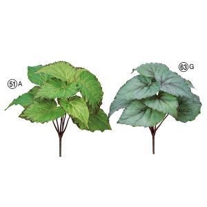 ASCA アスカ ベゴニアブッシュ A-43351-051 A 入数 12