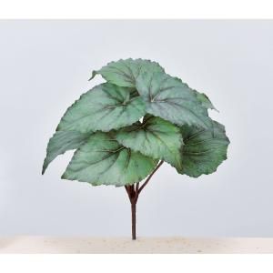 ASCA アスカ ベゴニアブッシュ A-43351-063 G 入数 12