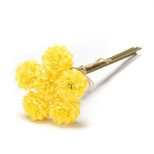 ASCA アスカ マムバンチ 1束6本 A-73316-010 入数 24