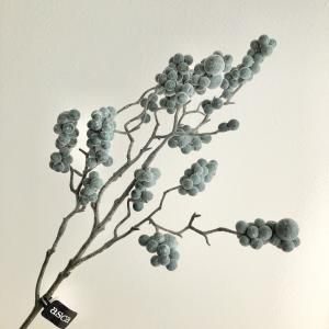 ASCA アスカ ベリースプレー A 47842 051 F 入数 24