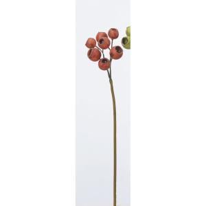 ASCA アスカ シードクラスター A-47829-030 R 入数 24