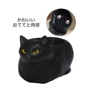 ケー イー アイ リトルレジンポット くつろぎねこ 4988-BK 入数 20