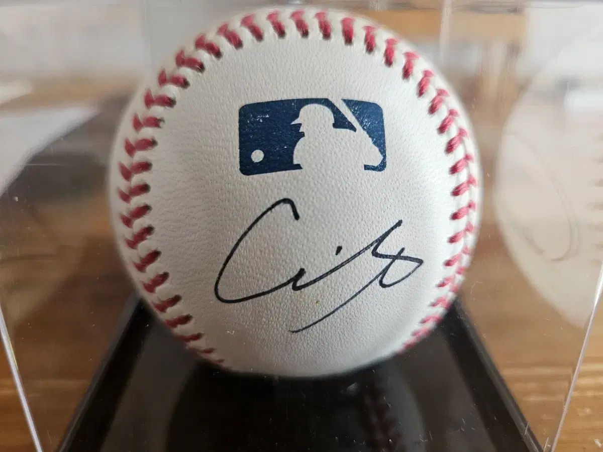 LAドジャーズ 大谷 Yohji Yamamoto 佐々木 サインボール