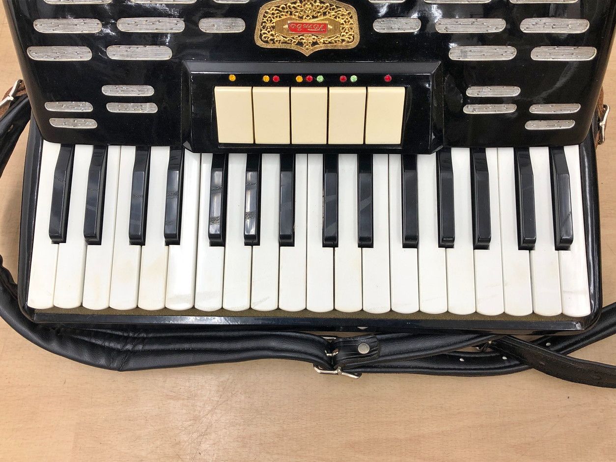 トンボ TOMBO アコーディオン NO.65 34鍵 ハードケース 収納バッグ付き