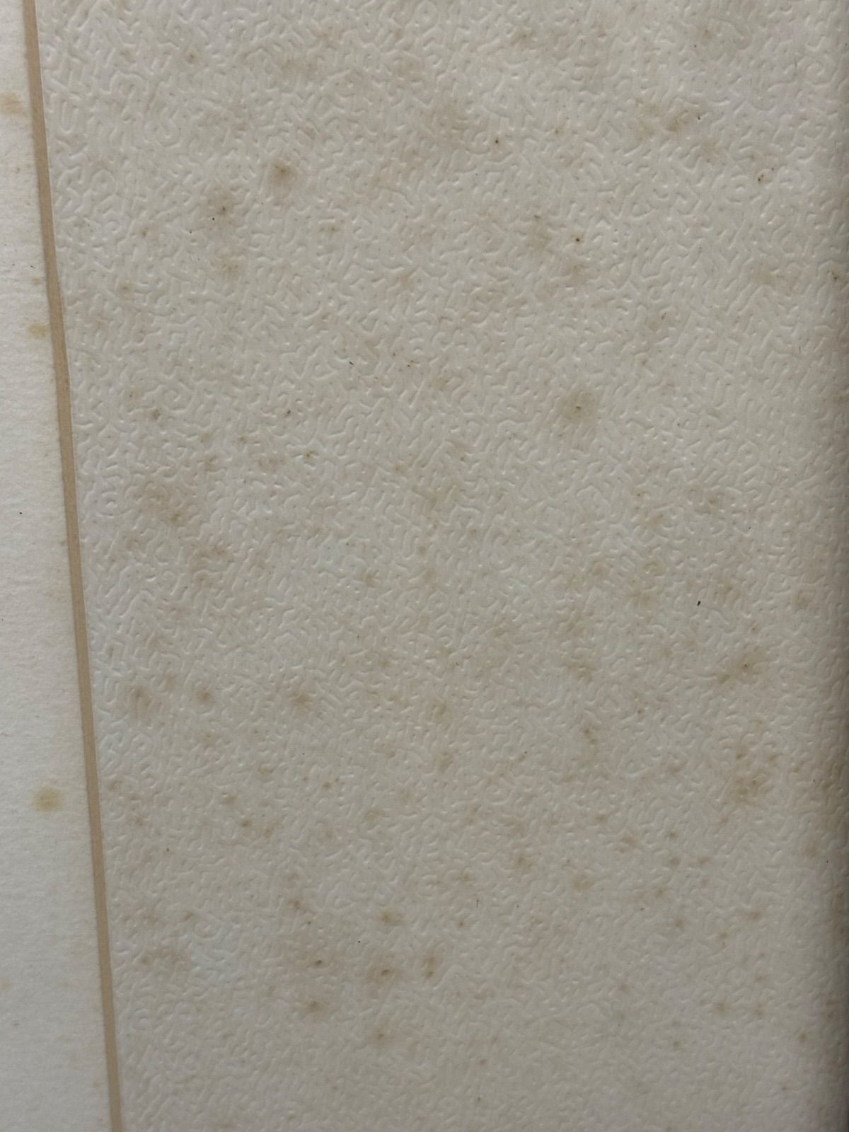 タイトル まるい顔