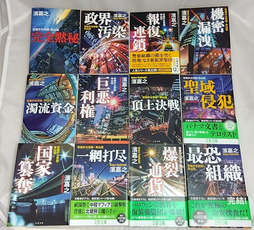 警視庁公安部・青山望シリーズ 全12巻 濱嘉之 文庫 - メルカリ