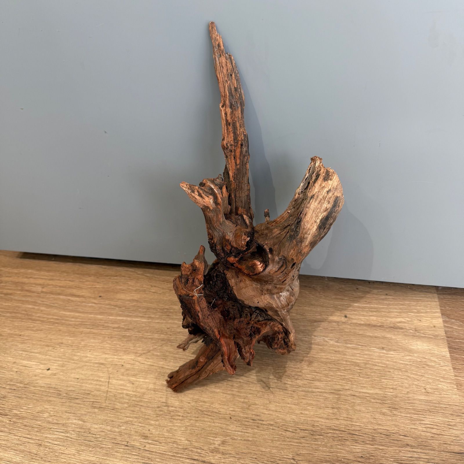 セレクト流木（現物発送）010801 - メルカリ