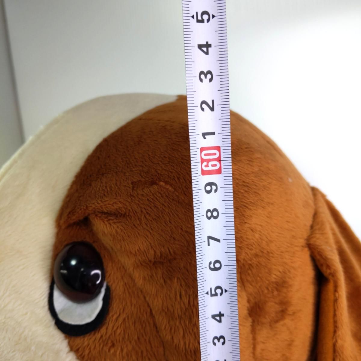 ハッシュパピー