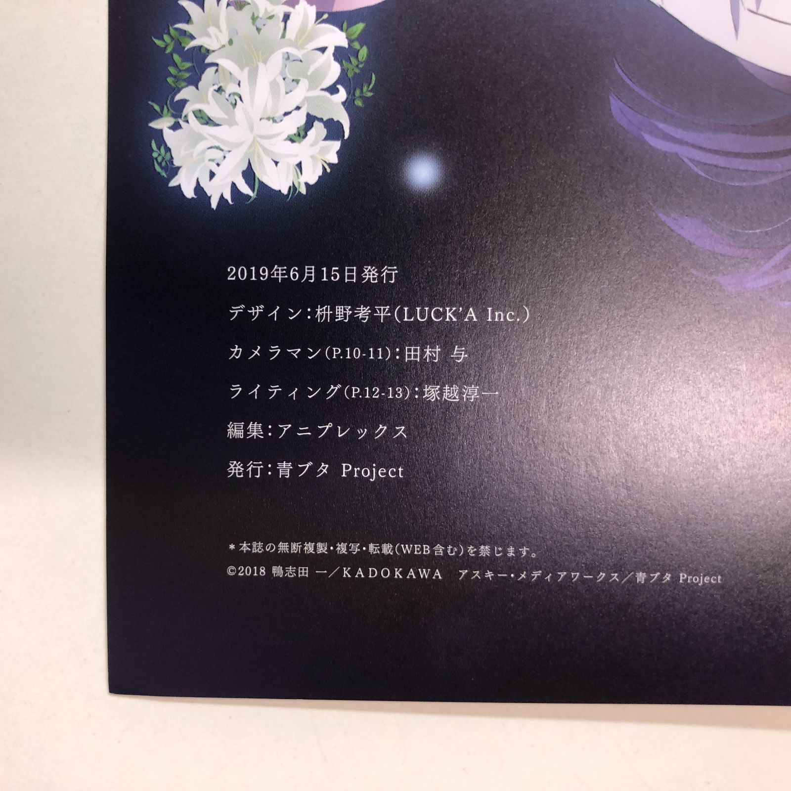 N]豪華版劇場パンフレット+ドラマCD 青春ブタ野郎はゆめみる少女の夢を