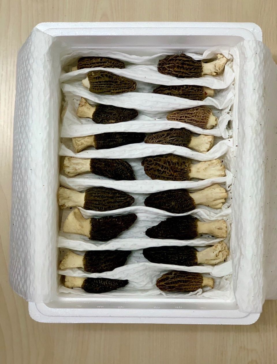 予約制】モリーユ（アミガサタケ）250g 旬の高級きのこ - メルカリ