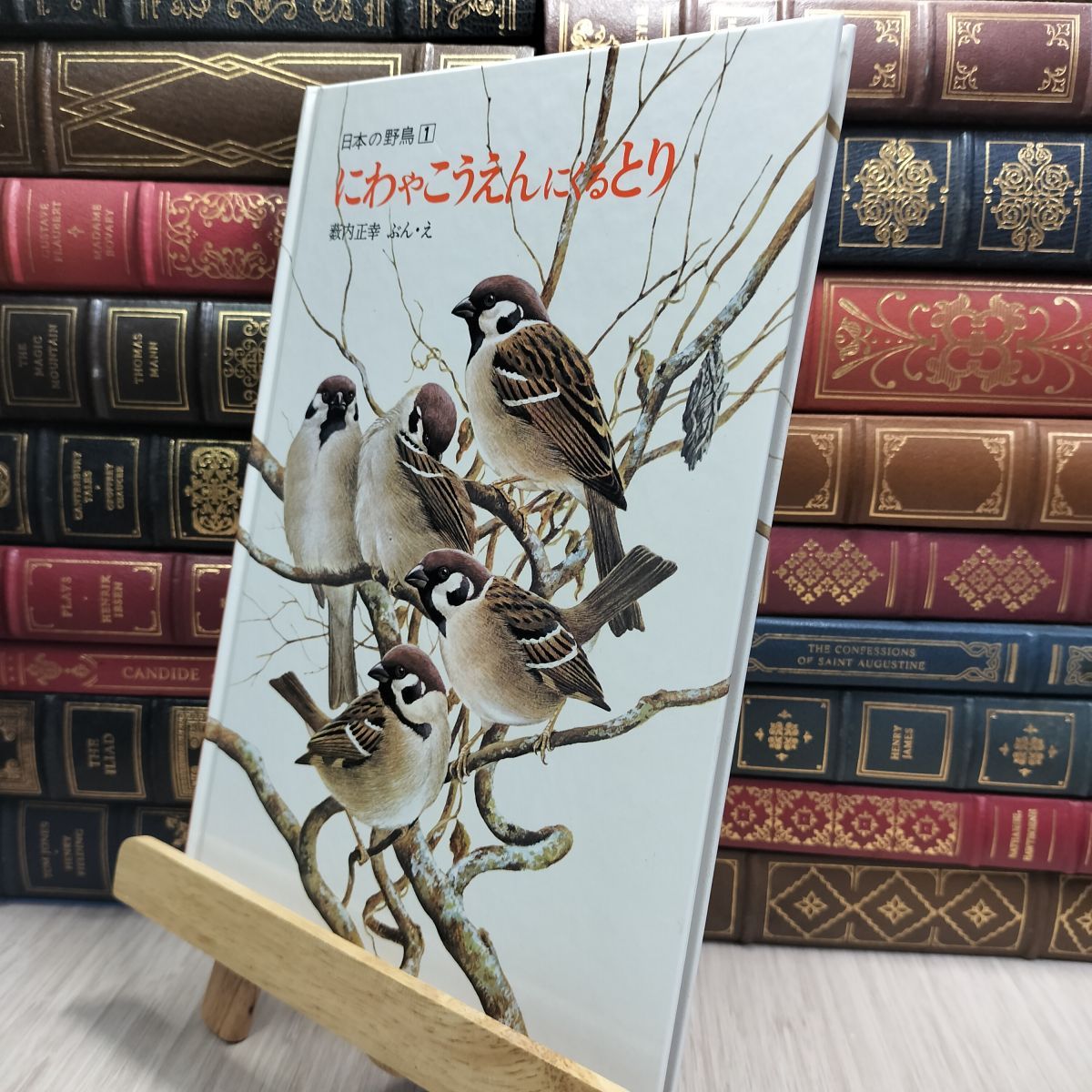 8-1 にわやこうえんにくるとり (福音館のかがくのほん―日本の野鳥 1