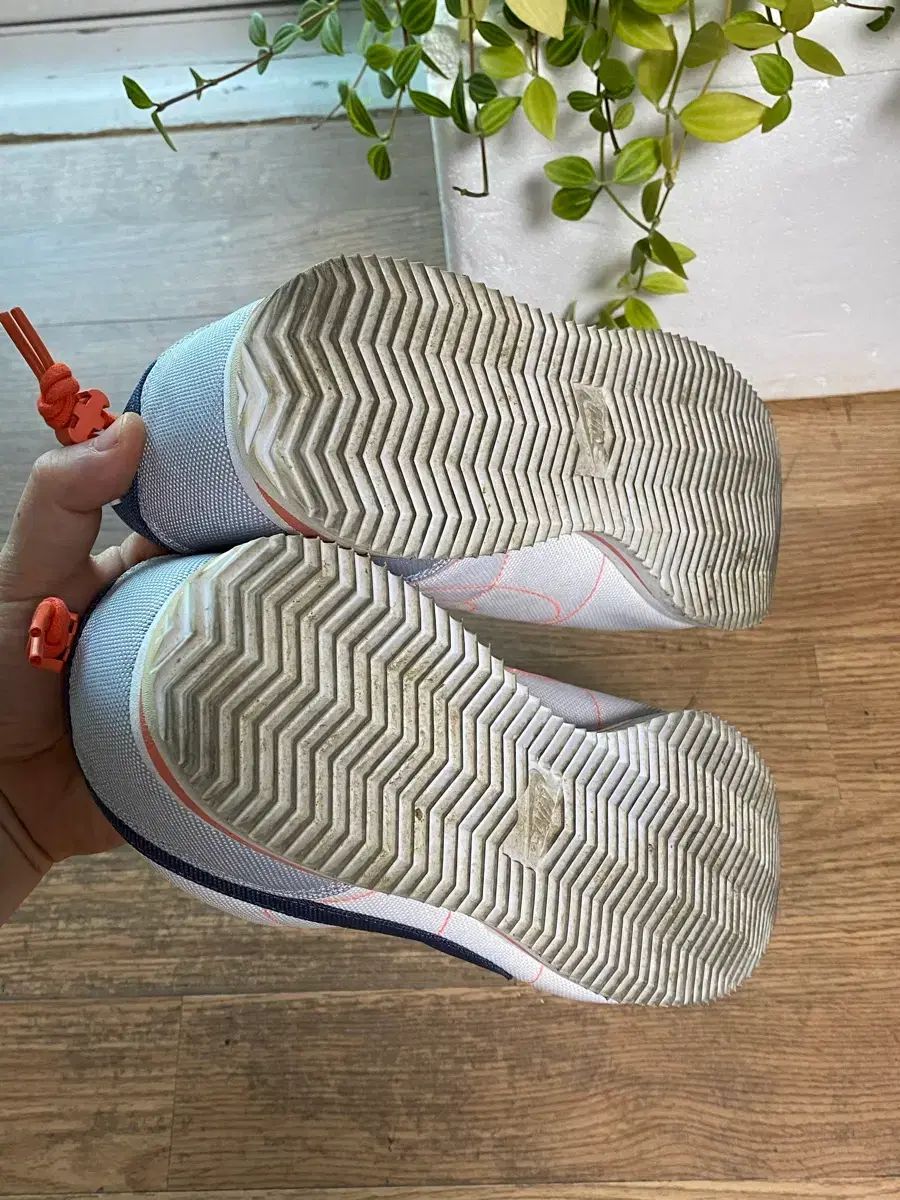  ナイキ x 龍宮寺 堅 ラマ コルテッツ 285 スニーカー 靴