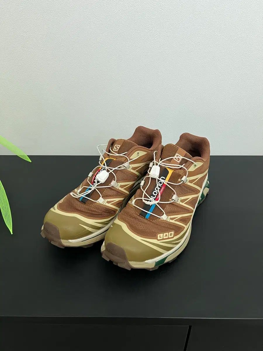 SALOMON サロモン XT-6 ラバーリー リザード 275