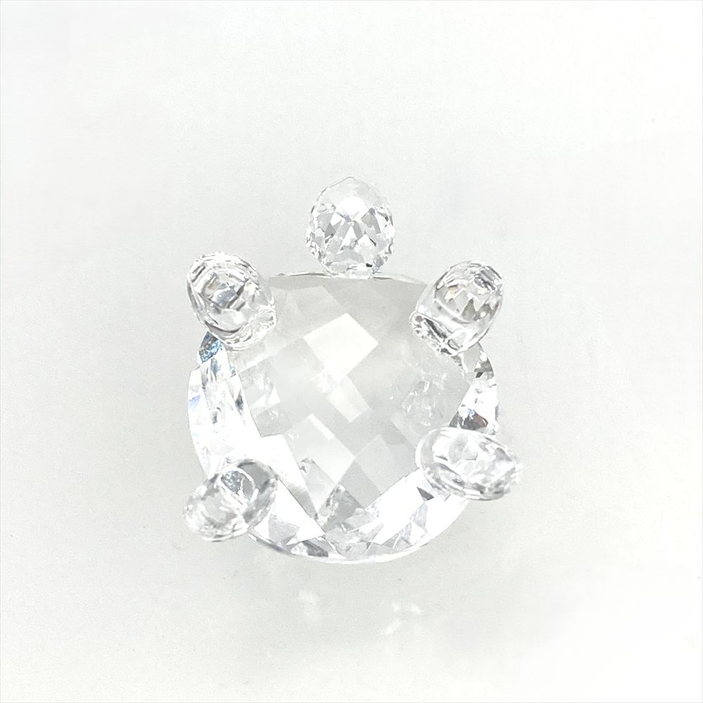 ベイビータートル 2匹セット