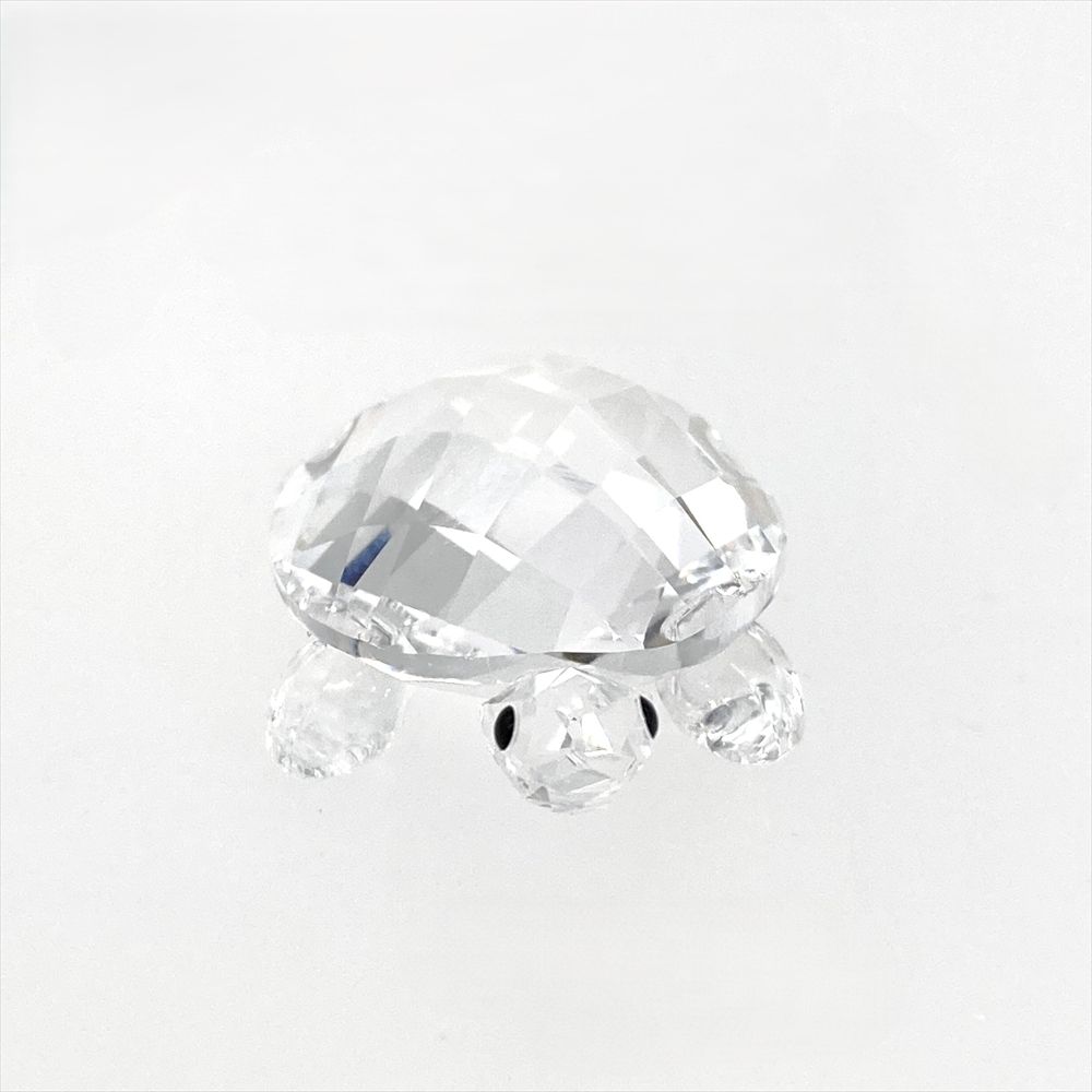 ベイビータートル 2匹セット