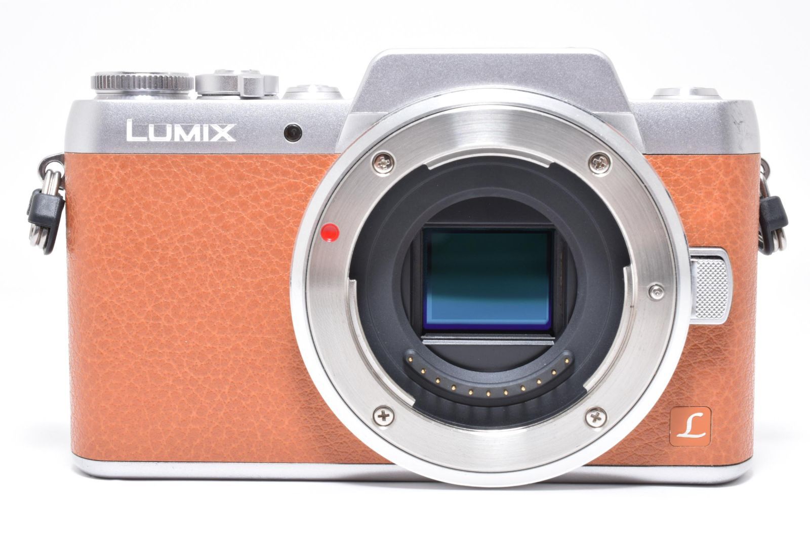 LUMIX DMC-GF
