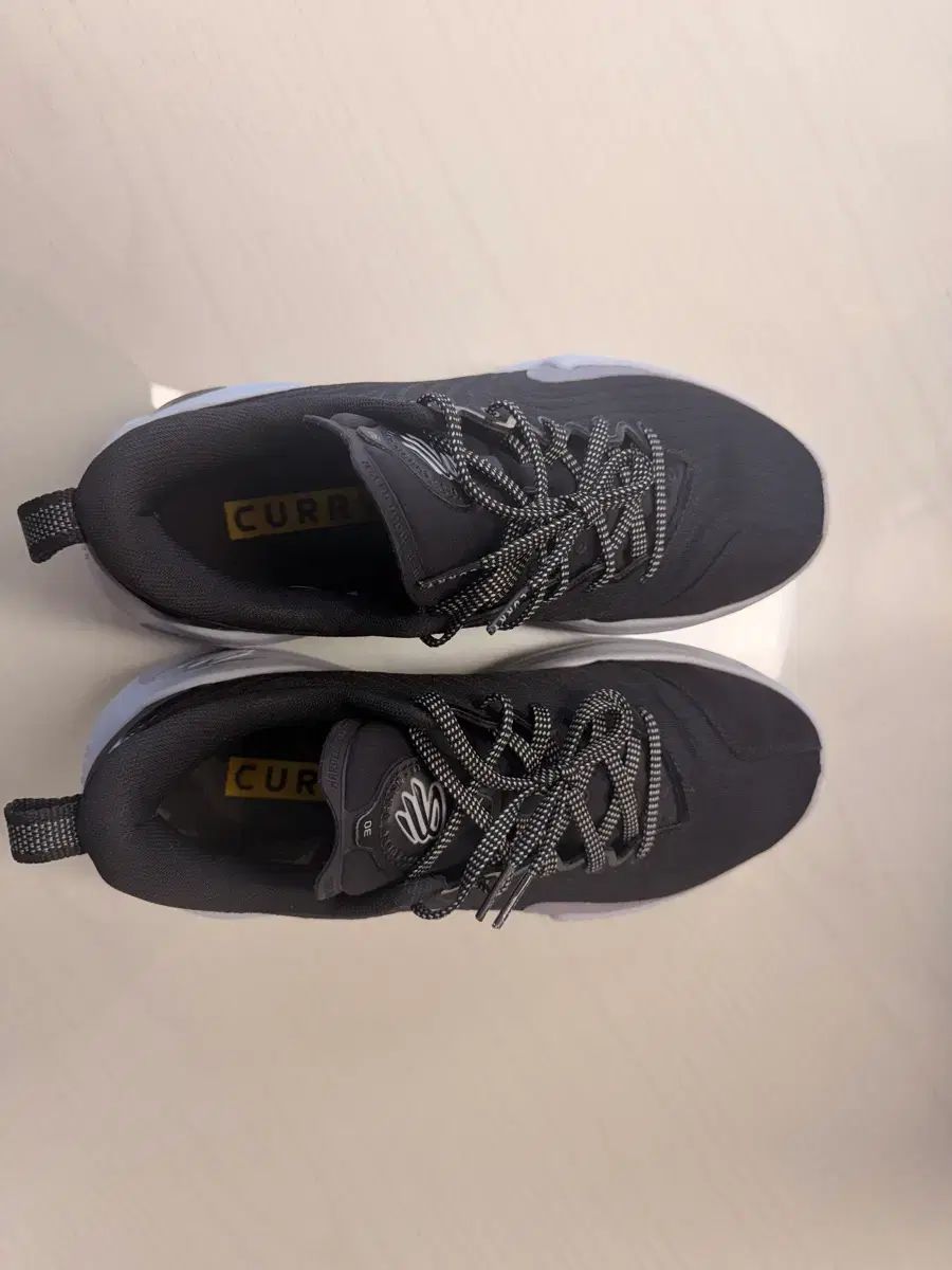 カリー12 ウォーデル 275