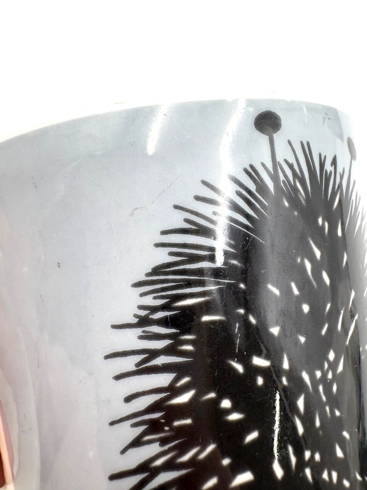 マグカップ セット