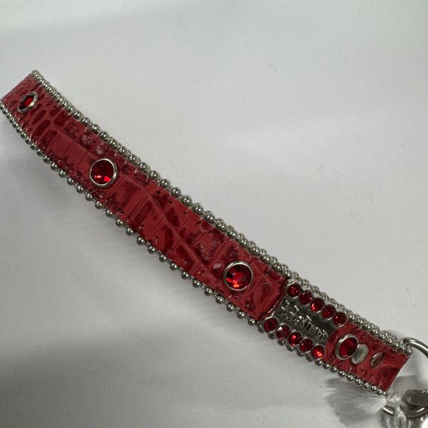 Supreme×b.b.simon/シュプリーム×ビービーサイモン【22AW】Studded Dog