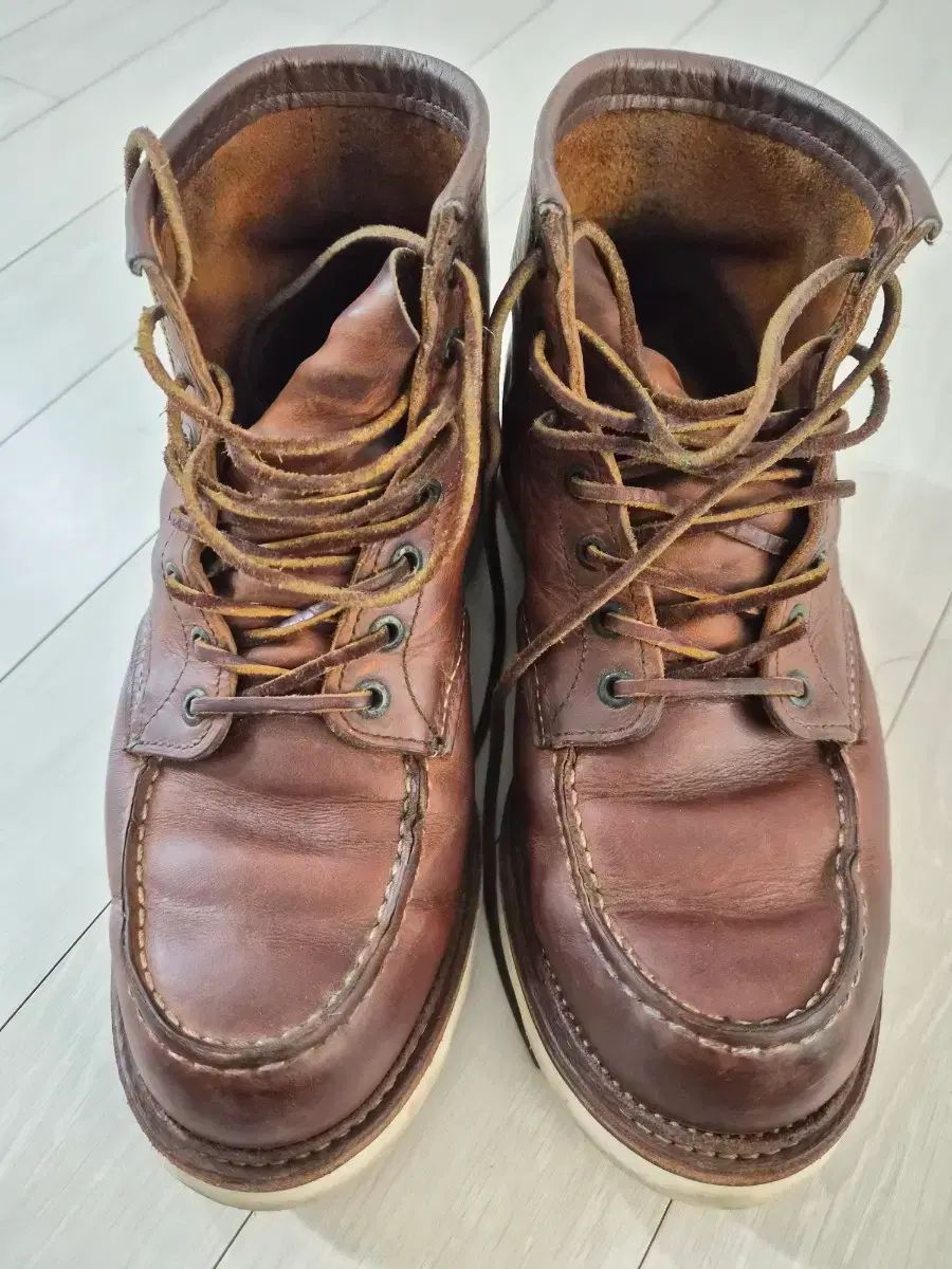 レッドウィング 1907 9 1|2 D