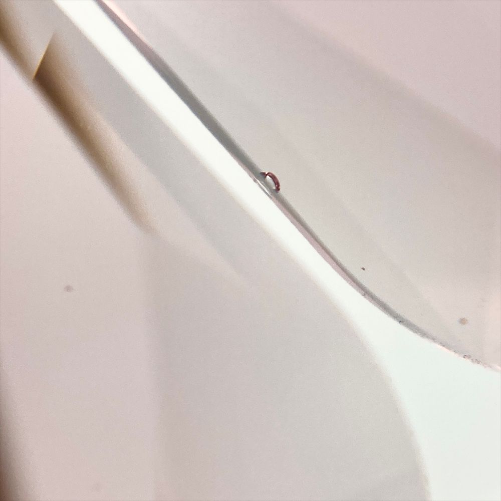 ガーデンテイルズ コスモス