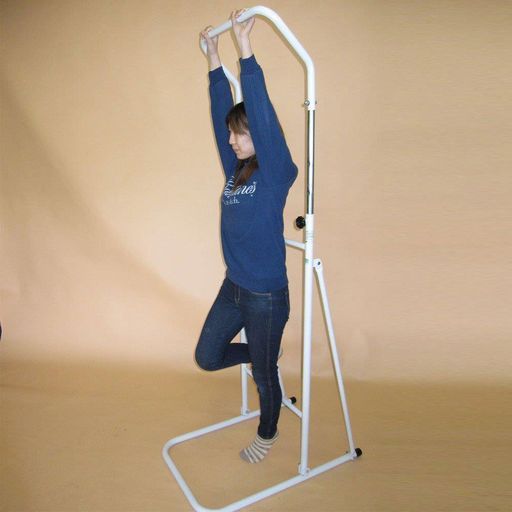 福島 ぶらさがり健康器ブラジョイ家庭用FM-1120