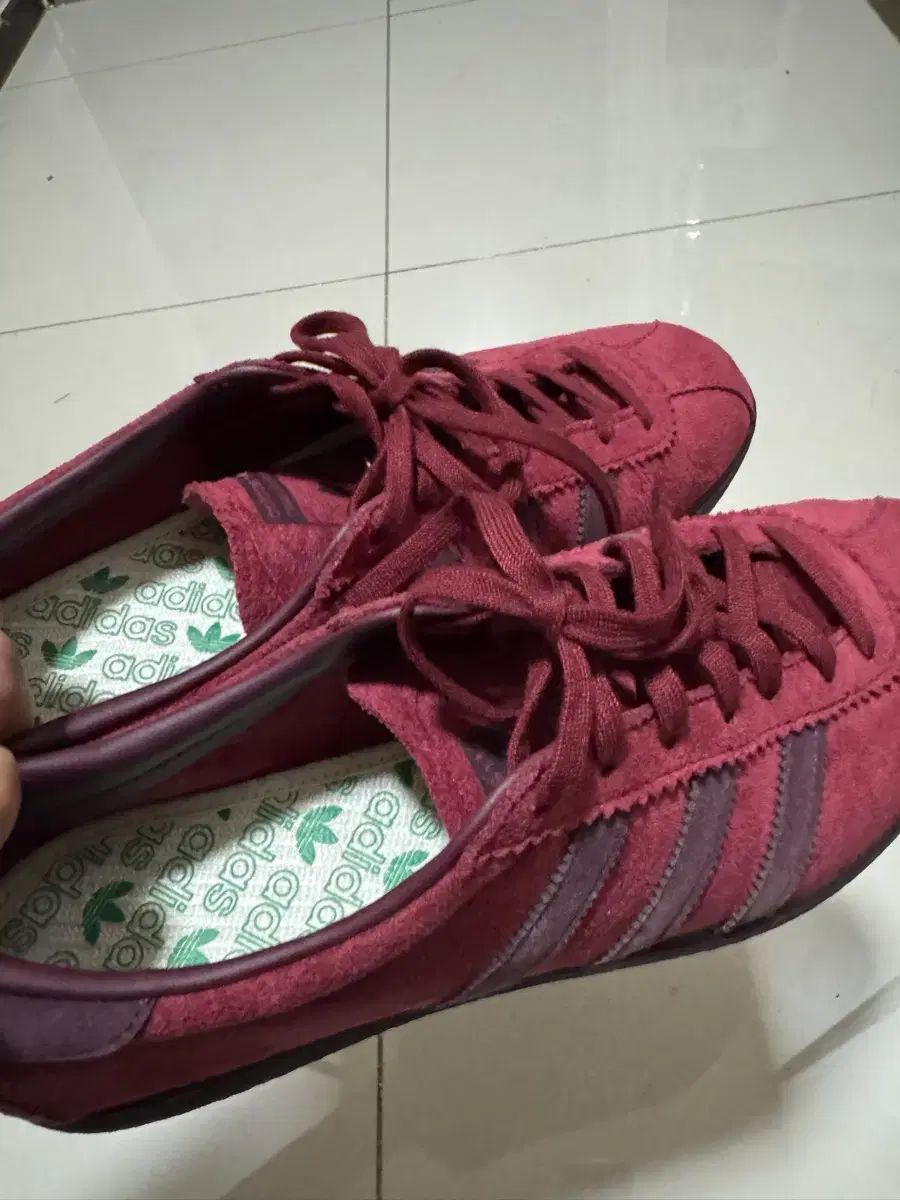 adidas タバコ バーガンディ