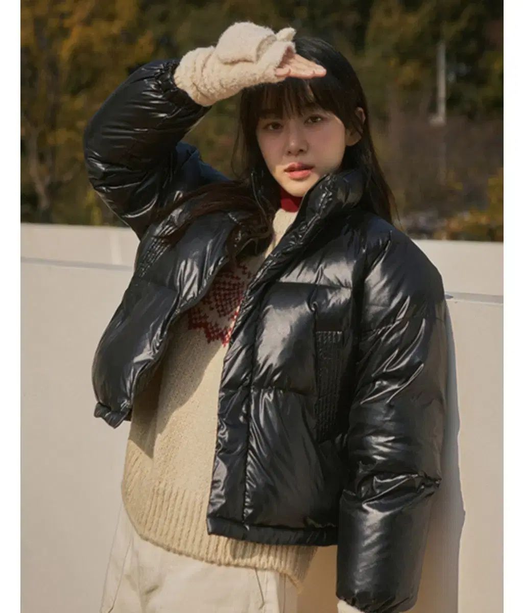 シャージュ レディース ダックダウン free