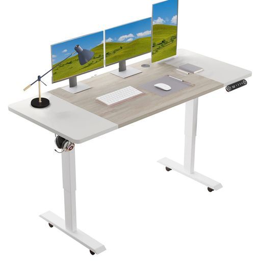 Radloveパソコンデスク電動昇降式デスク電動式パソコンデスクゲーミングデスク机電動昇降式スタンディングデスクPCデスクつくえpcデスク高さ調節 メモリー機能付き幅140 CMx奥行60 CM高さ…