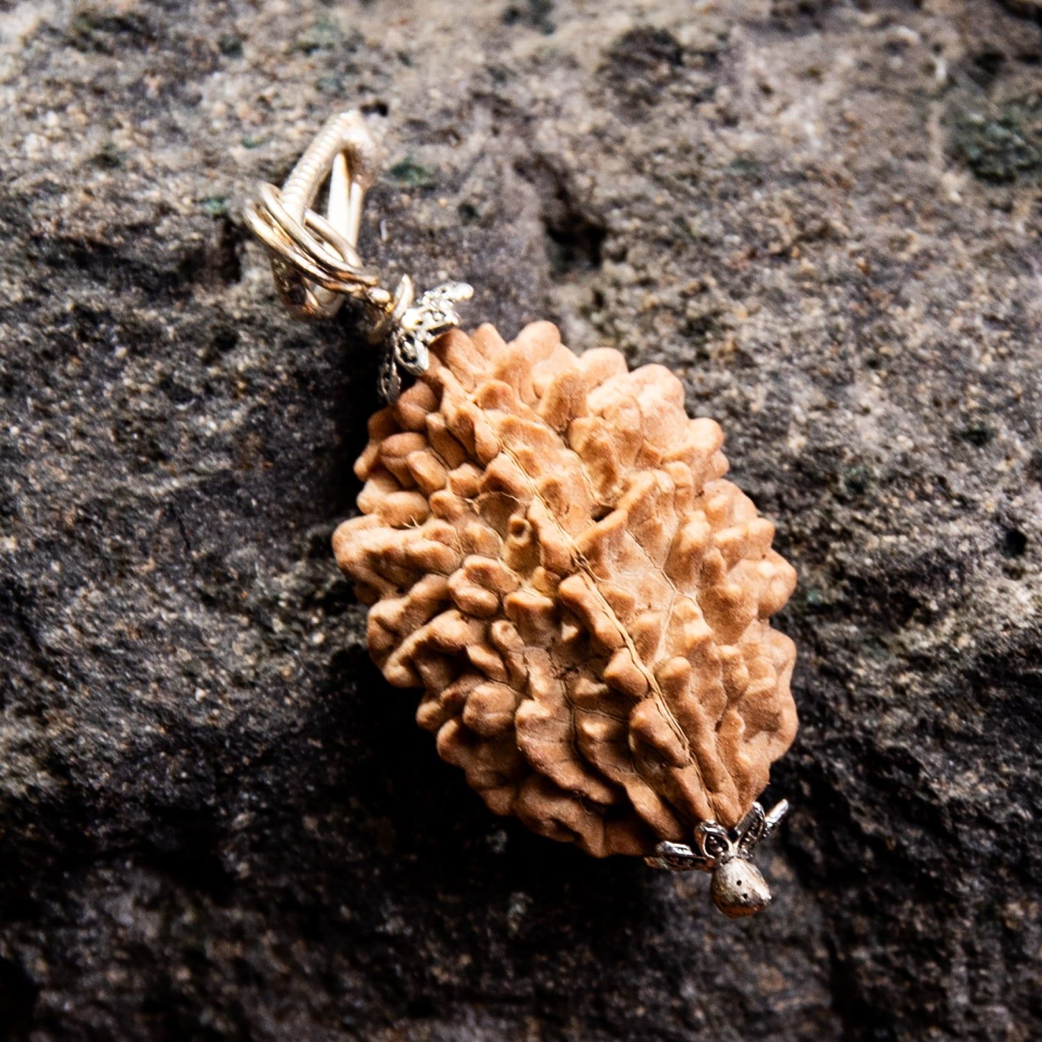 1点物 2面 鑑定書付き 聖なる菩提樹 ルドラクシャのペンダントトップ 3.89 g | 数珠 インドの数珠 ネックレス