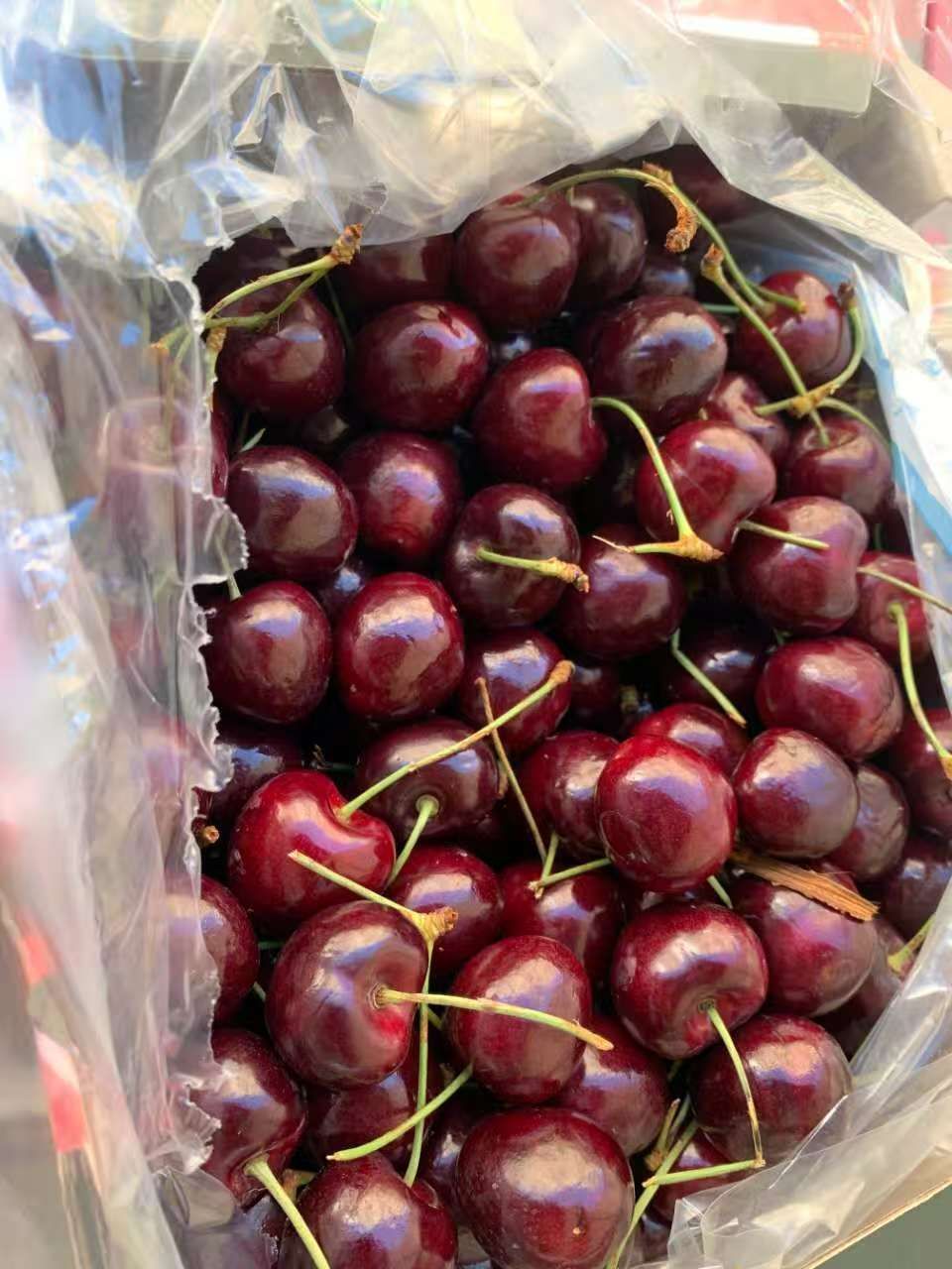 チリ産大粒4Jチェリー 2.5kg 空輸＊新品 - メルカリ