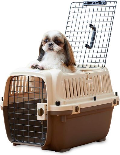 OFT ペットケンネルファーストクラストップオープンL 60 T 外寸 幅42.5 cmx奥60.5 cmx高40 cm本体重量 約 3.2 kg犬キャリー猫キャリーペットキャリーゲージハードキャリー取っ手付き室内用ハウ…