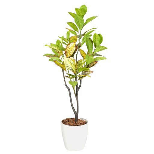ボタニカルライフプラス Botanicallife 造花クロトン光触媒フェイクグリーンNBシリーズ120 cmホワイト鉢付き日本製