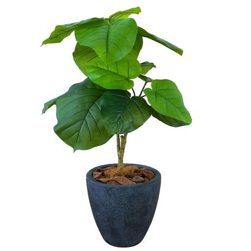 ボタニカルライフプラス Botanicallife 造花ウンベラータ光触媒フェイクグリーンDシリーズ70 cm鉢付き日本製