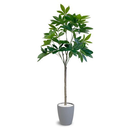 URBAN フェイクグリーンパキラ180 お世話不要!枯れないからずっと楽しめる人工観葉植物お祝いにも フェイクグリーン観葉植物大型人工植物植物 グレー PAC-180 GY