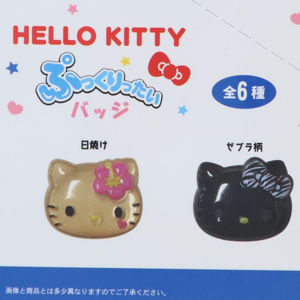 ハローキティ バッジ ぷっくりったいバッジ 全6種 6個入セット