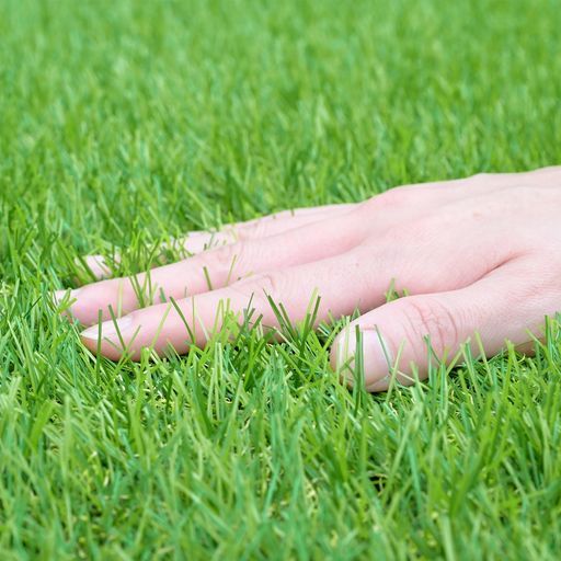 ガーデンマスター Gardenmaster 人工芝1.8 x 10 m芝丈30 mm 90 cm幅U字固定ピン40本入り耐候級最上位5級ベランダバルコニー屋上テラス水よけマンションペット芝生CY 6 B-301810 P GR