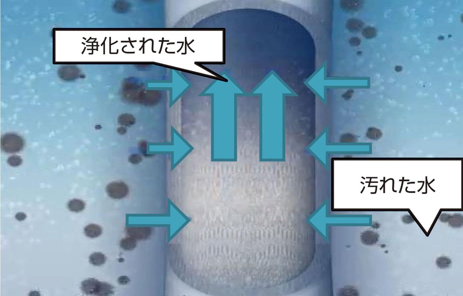カタダイン 高性能