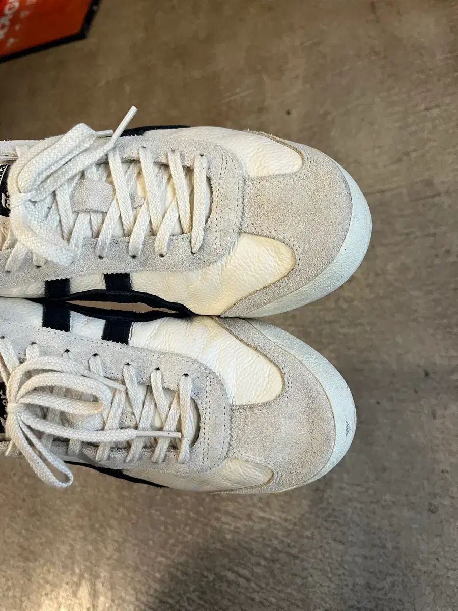 メキシコ66 白黒