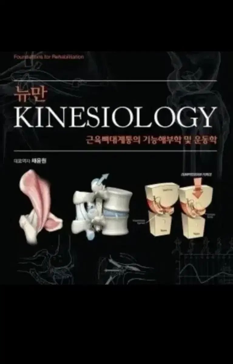ニューマン Kinesiology 第3版 キネシオロジー pdf ニューマン 【公式