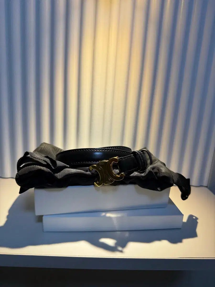 ほぼ セリーヌ トリオンフ スモール ベルト