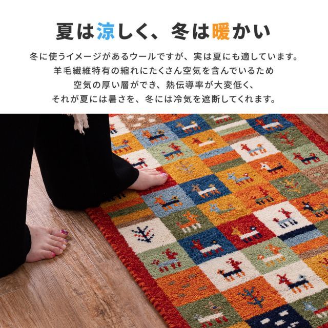 種類10:A9/マルチカラー ギャッベ ラグ・マット GABBEH Aシリーズ 60