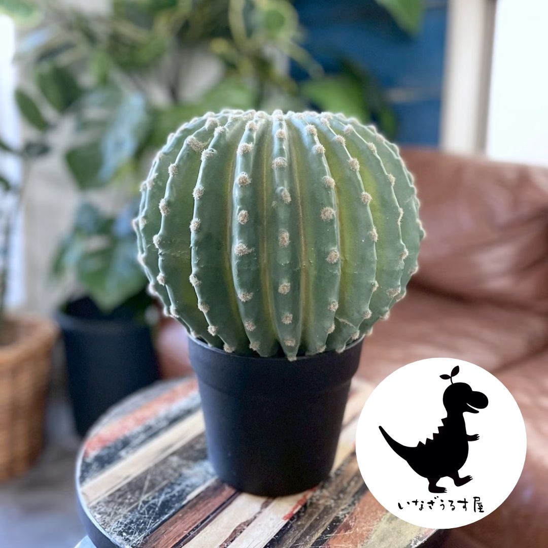 まるサボテン カクタス フェイクグリーン 人工植物 リアル 造花 観葉植物 鉢植え ディスプレイ インテイアグリーン いなざうるす屋